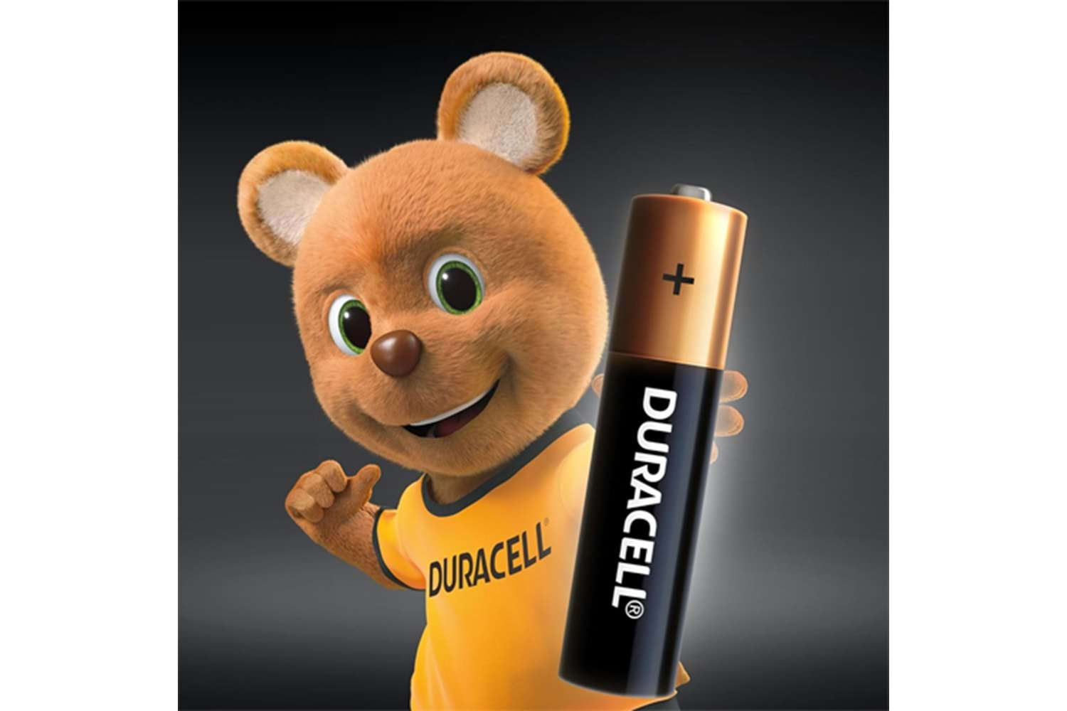 DURACELL ŞARJ EDİLEBİLİR AA KALEM PİL 2500 mAH 2li PAKET